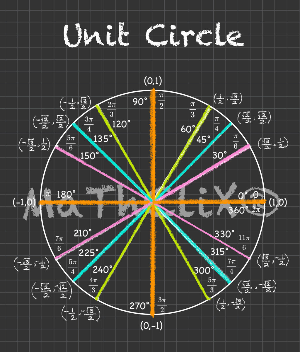 Unit Circle Bundle