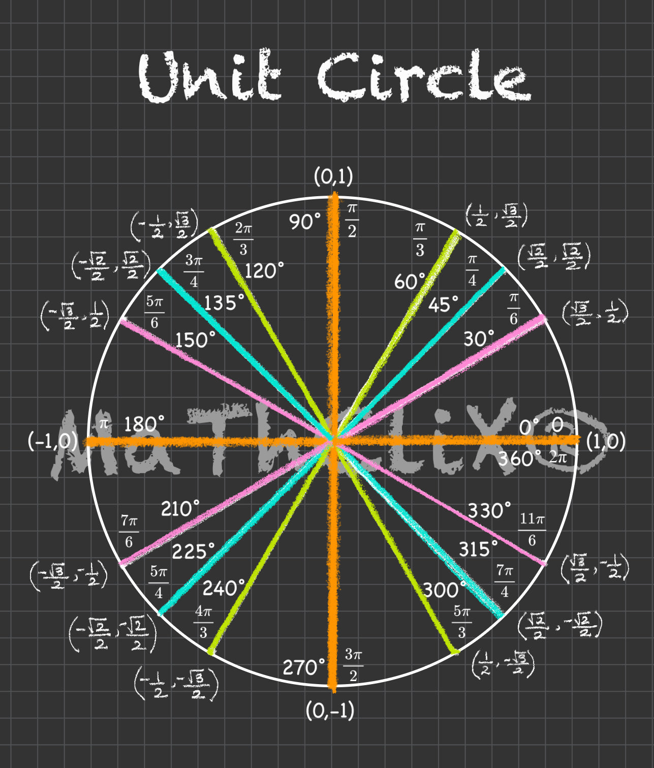 Unit Circle Bundle