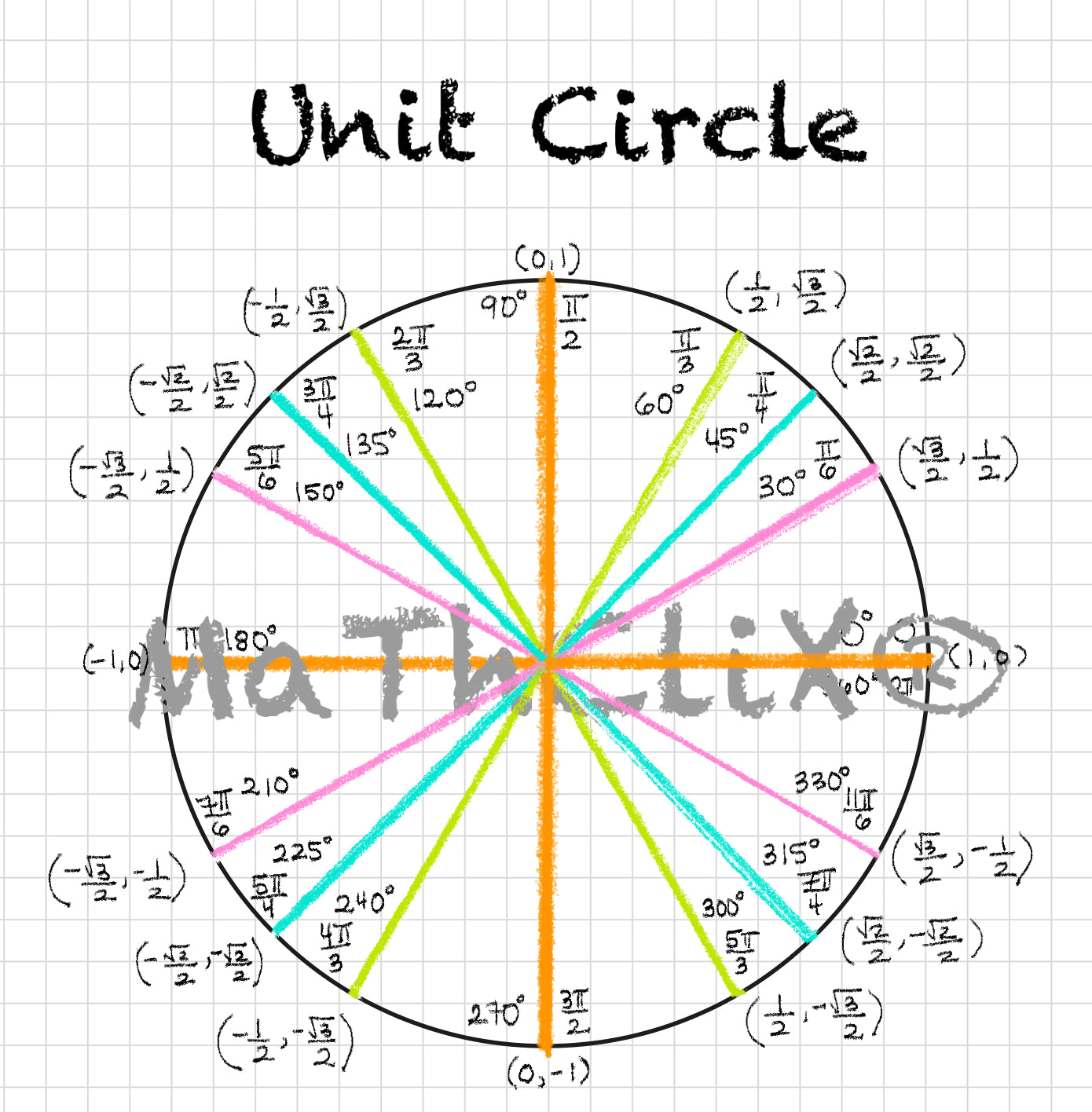 Unit Circle Bundle